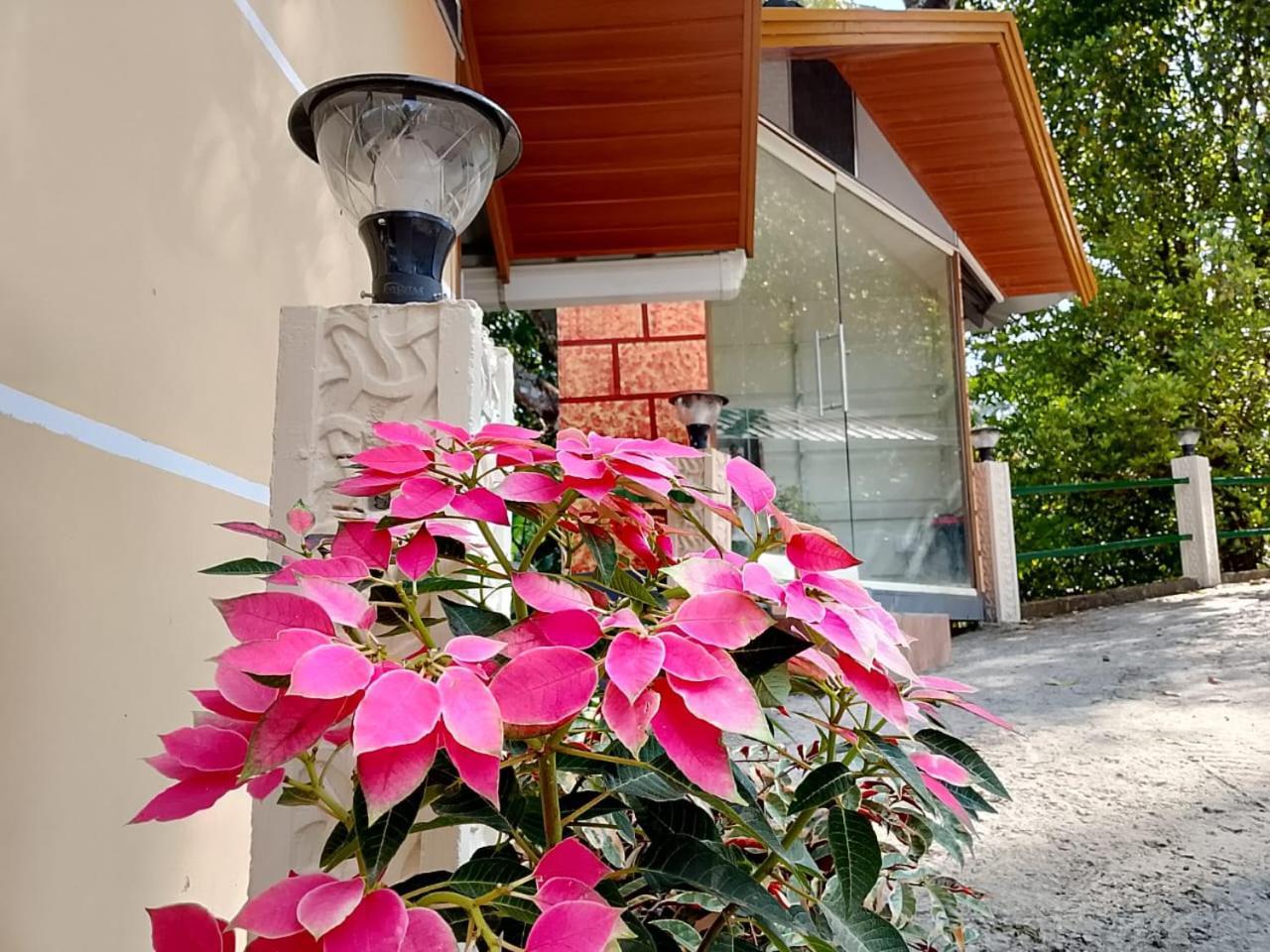 Cloudscape Homestay Pīrmed Zewnętrze zdjęcie
